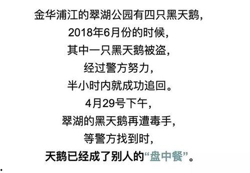 hl黑料门不打烊今日黑料 潜规则吴思txt全集下载,潜规则事件吴思txt全集独家下载